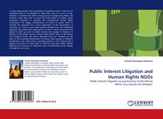 Capa do livro de Public Interest Litigation and Human Rights NGOs 