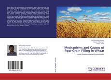 Buchcover von Mechanisms and Causes of Poor Grain Filling in Wheat