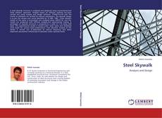 Capa do livro de Steel Skywalk 