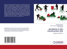 Buchcover von Accidents in the Construction Site