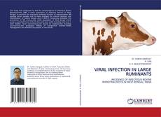 Capa do livro de VIRAL INFECTION IN LARGE RUMINANTS 