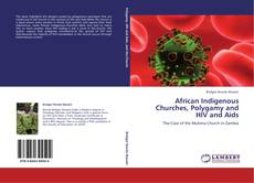 Copertina di African Indigenous Churches, Polygamy and HIV and Aids