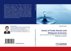 Terms of Trade Shocks and Malaysian Economy的封面