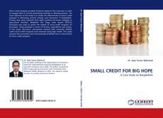 Buchcover von SMALL CREDIT FOR BIG HOPE