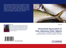 Bookcover of Homestead Aquaculture in Yola, Adamawa State, Nigeria