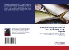 Buchcover von Homestead Aquaculture in Yola, Adamawa State, Nigeria