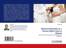 Bookcover of Maternal Mortality as a Human Rights Issue in Malawi