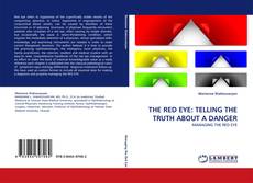 Buchcover von THE RED EYE: TELLING THE TRUTH ABOUT A DANGER