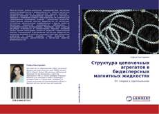 Capa do livro de Структура цепочечных агрегатов в  бидисперсных магнитных жидкостях 