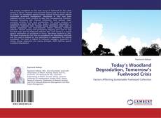 Capa do livro de TODAY’S WOODLAND DEGRADATION, TOMORROW’S FUELWOOD CRISIS 