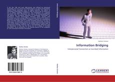 Information Bridging kitap kapağı