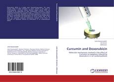 Capa do livro de Curcumin and Doxorubicin 