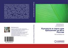 Couverture de Кукуруза и сорго при орошении на Юге России