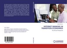 INTERNET BANKING IN TRANSITION ECONOMIES kitap kapağı