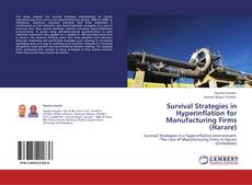 Bookcover of Survival Strategies in Hyperinflation for Manufacturing Firms (Harare)