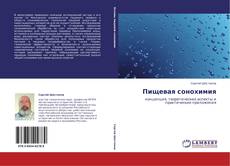 Copertina di Пищевая сонохимия