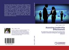Assessing Leadership Effectiveness kitap kapağı