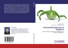 Induced Mutagenesis in Eggplant kitap kapağı