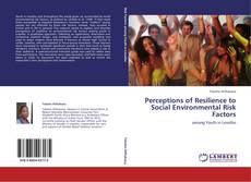 Perceptions of Resilience to Social Environmental Risk Factors kitap kapağı