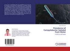 Borítókép a  Prevalence of Campylobacter Isolated from Water - hoz