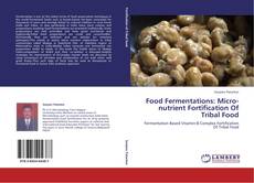 Portada del libro de Food Fermentations: Micro-nutrient Fortification Of Tribal Food