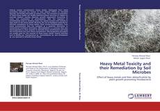 Copertina di Heavy Metal Toxicity and their Remediation by Soil Microbes