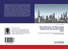 Capa do livro de Revivification of Newcastle Gateshead Quayside (GQII Site) 