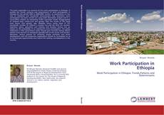 Portada del libro de Work Participation in Ethiopia