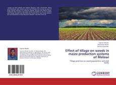 Bookcover of Effect of tillage on weeds in maize production systems of Malawi