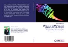 Portada del libro de Efficiency as Managerial Labor Evaluation Tool