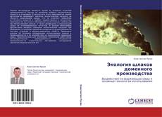 Buchcover von Экология шлаков доменного производства