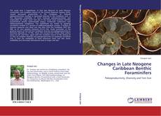 Buchcover von Changes in Late Neogene Caribbean Benthic Foraminifers