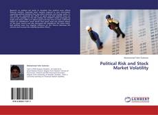 Copertina di Political Risk and Stock Market Volatility