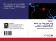 Buchcover von Image Segmentation and Multi-modal Study of Neuronal Growth Cones