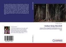 Indian Grey Hornbill的封面