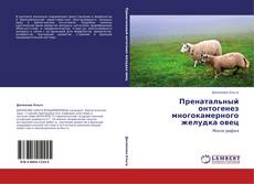 Buchcover von Пренатальный онтогенез многокамерного желудка овец