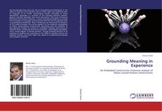 Grounding Meaning in Experience kitap kapağı