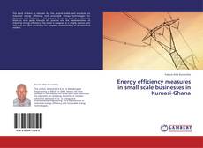 Bookcover of Energy efficiency measures in small scale businesses in Kumasi-Ghana