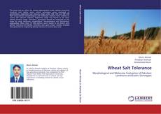 Wheat Salt Tolerance kitap kapağı