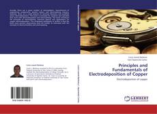 Capa do livro de Principles and Fundamentals of Electrodeposition of Copper 