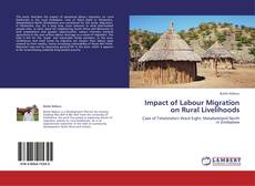 Capa do livro de Impact of Labour Migration on Rural Livelihoods 