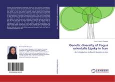 Bookcover of Genetic diversity of Fagus orientalis Lipsky in Iran