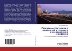 Buchcover von Развитие естественных монополий в условиях инновационной экономики