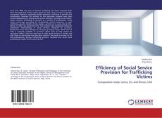Capa do livro de Efficiency of Social Service Provision for Trafficking Victims 