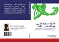 Buchcover von Deciphering the role of Yap4 phosphorylation under stress conditions