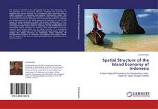 Copertina di Spatial Structure of the Island Economy of Indonesia