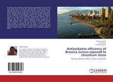 Buchcover von Antioxidative efficiency of Brassica Juncea exposed to chromium stress