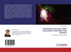 Bookcover of Femtosecond Laser Pulse Interaction with Rare Gas Clusters