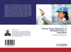 Copertina di Private Sector Response to HIV/AIDS Policy in Zimbabwe
