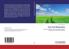 Eco-fuel Briquettes kitap kapağı
